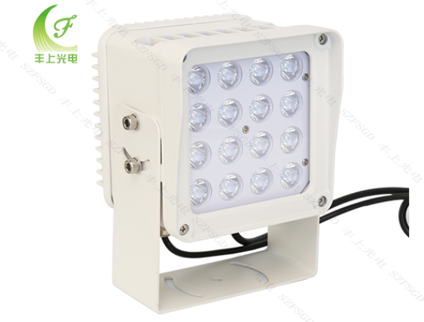 收費站式卡口系統抓拍無遺漏